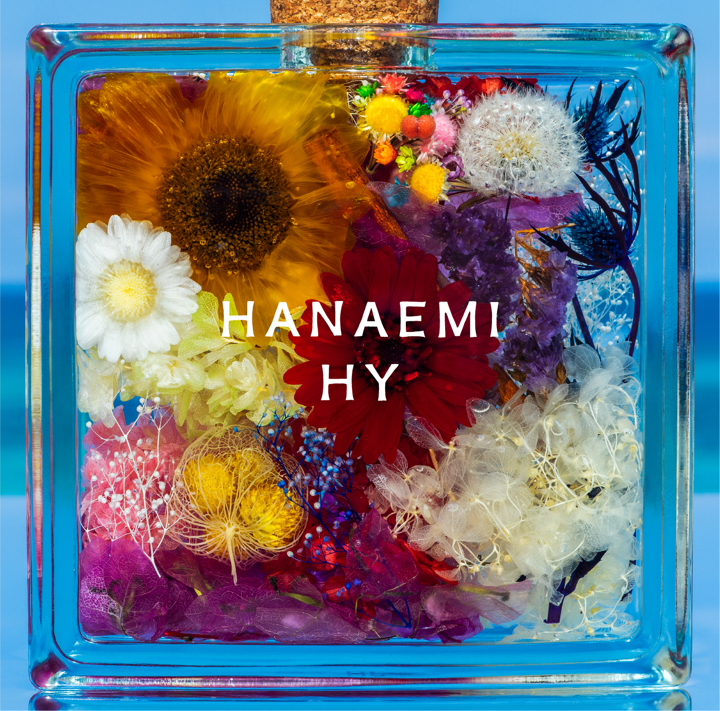 HY 14枚目オリジナル・アルバム『HANAEMI』2021年2月24日 リリース決定！
