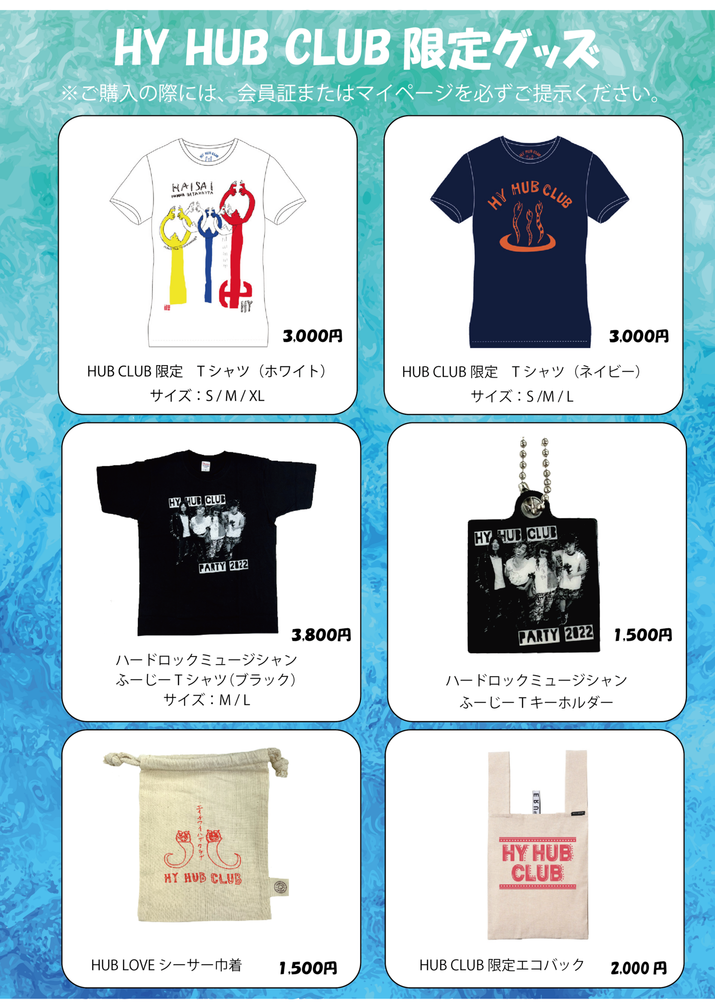 HY 25th Anniversary BEST!! Kary TOUR 2024-2025」デジタル